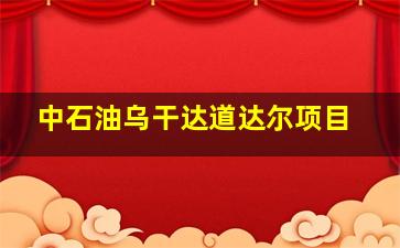 中石油乌干达道达尔项目