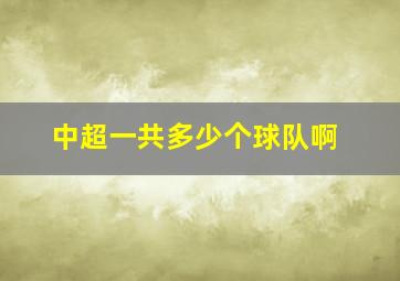 中超一共多少个球队啊