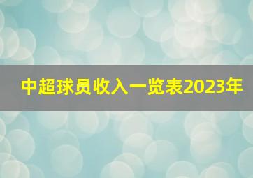 中超球员收入一览表2023年