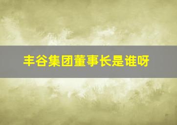 丰谷集团董事长是谁呀