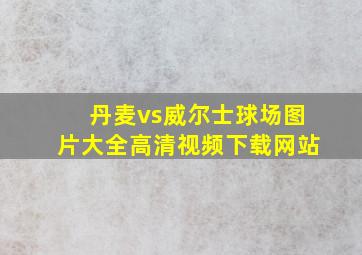 丹麦vs威尔士球场图片大全高清视频下载网站