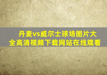 丹麦vs威尔士球场图片大全高清视频下载网站在线观看