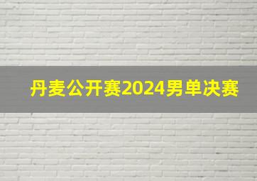 丹麦公开赛2024男单决赛