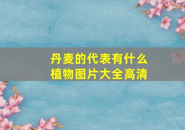 丹麦的代表有什么植物图片大全高清