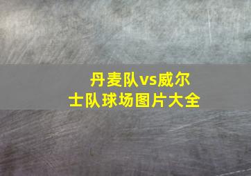 丹麦队vs威尔士队球场图片大全