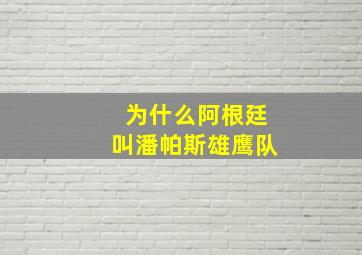 为什么阿根廷叫潘帕斯雄鹰队