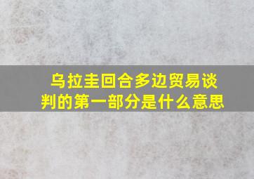 乌拉圭回合多边贸易谈判的第一部分是什么意思