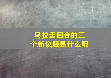 乌拉圭回合的三个新议题是什么呢