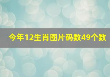 今年12生肖图片码数49个数