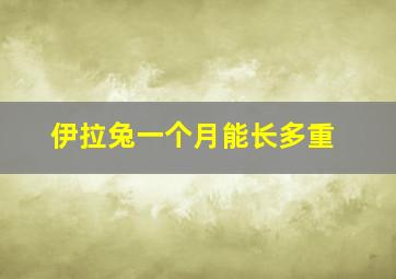 伊拉兔一个月能长多重