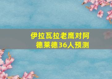 伊拉瓦拉老鹰对阿德莱德36人预测