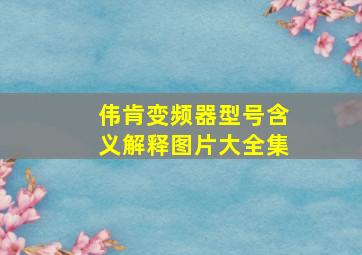 伟肯变频器型号含义解释图片大全集