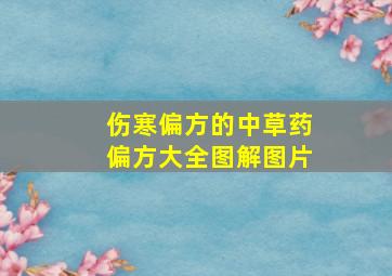 伤寒偏方的中草药偏方大全图解图片