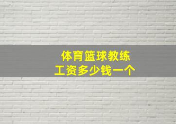 体育篮球教练工资多少钱一个