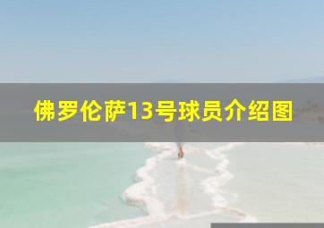 佛罗伦萨13号球员介绍图