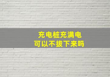 充电桩充满电可以不拔下来吗