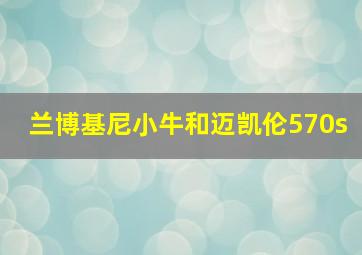 兰博基尼小牛和迈凯伦570s