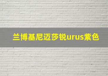 兰博基尼迈莎锐urus紫色