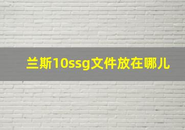 兰斯10ssg文件放在哪儿