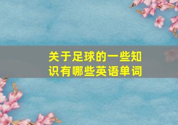 关于足球的一些知识有哪些英语单词