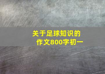 关于足球知识的作文800字初一