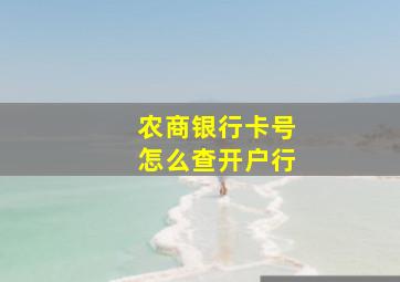 农商银行卡号怎么查开户行