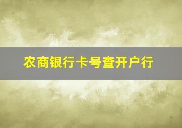 农商银行卡号查开户行