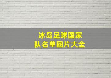 冰岛足球国家队名单图片大全