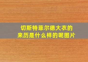 切斯特菲尔德大衣的来历是什么样的呢图片