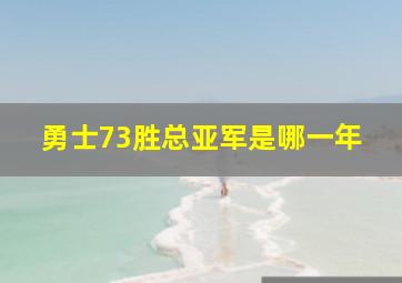 勇士73胜总亚军是哪一年