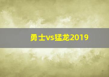 勇士vs猛龙2019