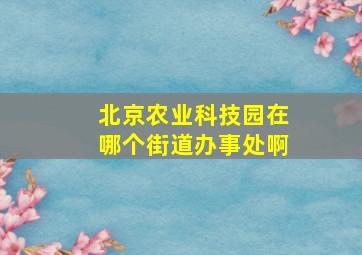 北京农业科技园在哪个街道办事处啊