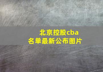 北京控股cba名单最新公布图片