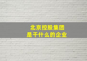 北京控股集团是干什么的企业