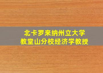 北卡罗来纳州立大学教堂山分校经济学教授