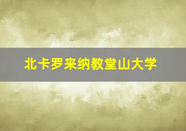 北卡罗来纳教堂山大学