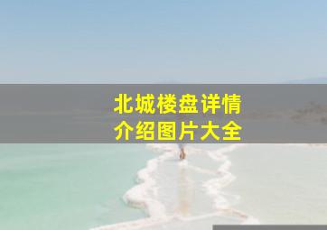 北城楼盘详情介绍图片大全