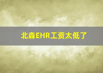 北森EHR工资太低了