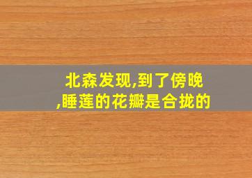 北森发现,到了傍晚,睡莲的花瓣是合拢的