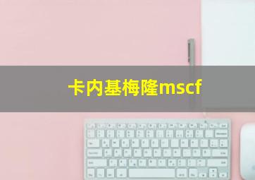 卡内基梅隆mscf