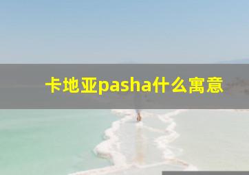 卡地亚pasha什么寓意