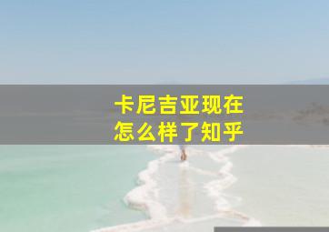 卡尼吉亚现在怎么样了知乎