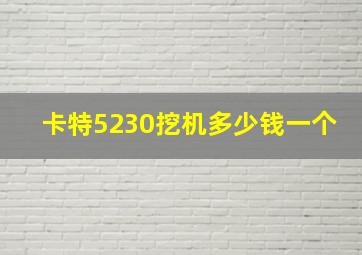 卡特5230挖机多少钱一个