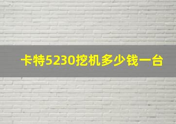 卡特5230挖机多少钱一台