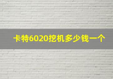 卡特6020挖机多少钱一个