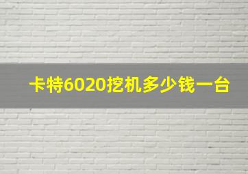 卡特6020挖机多少钱一台