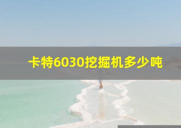 卡特6030挖掘机多少吨