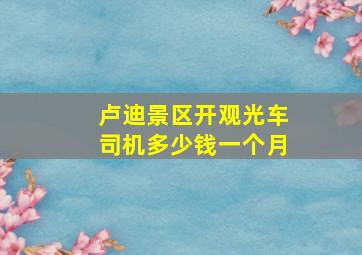 卢迪景区开观光车司机多少钱一个月