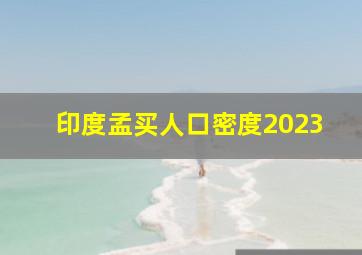 印度孟买人口密度2023