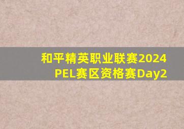 和平精英职业联赛2024PEL赛区资格赛Day2